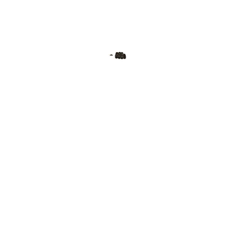 CARFOX mascot hand