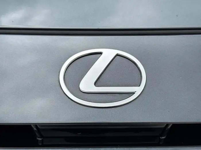 2024 Lexus TX TX 350 Luxury AWD — photo 11