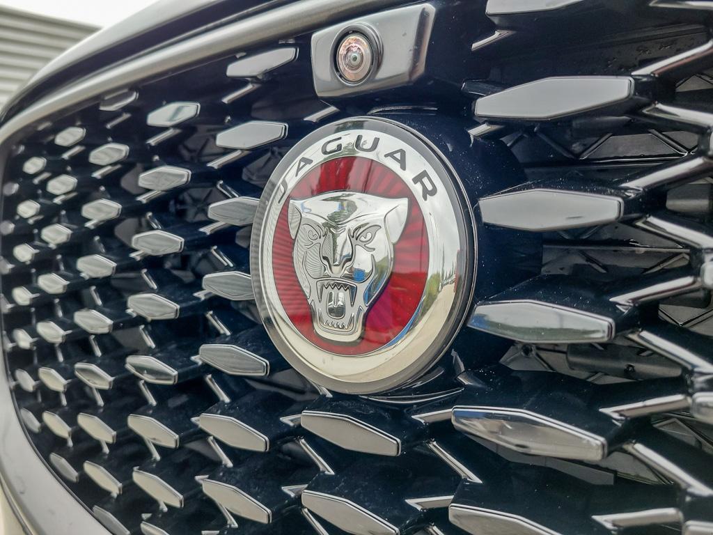 2023 Jaguar F-PACE SVR P550 Auto — photo 9