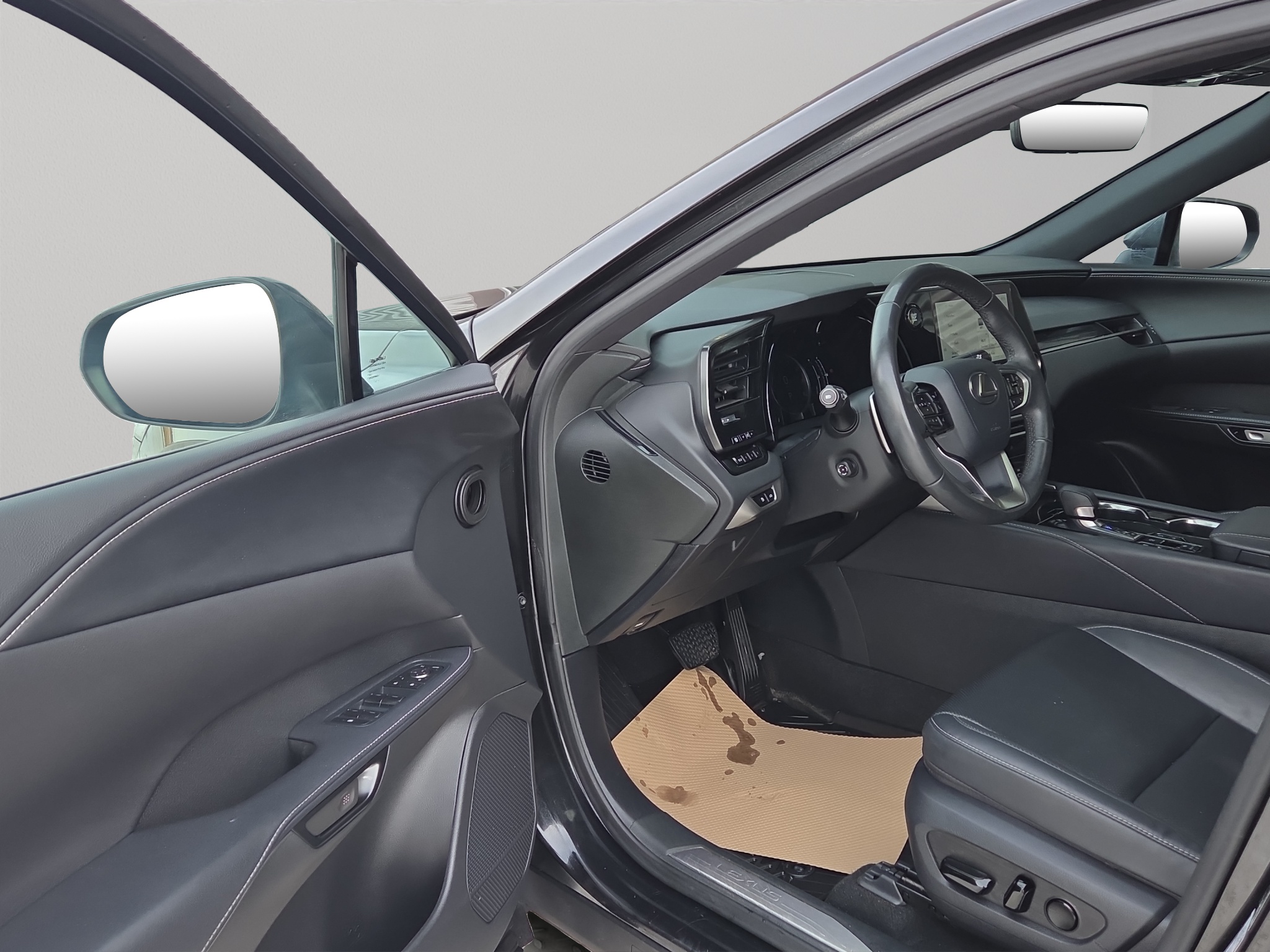 2023 Lexus RX RX 350 Auto — photo 16