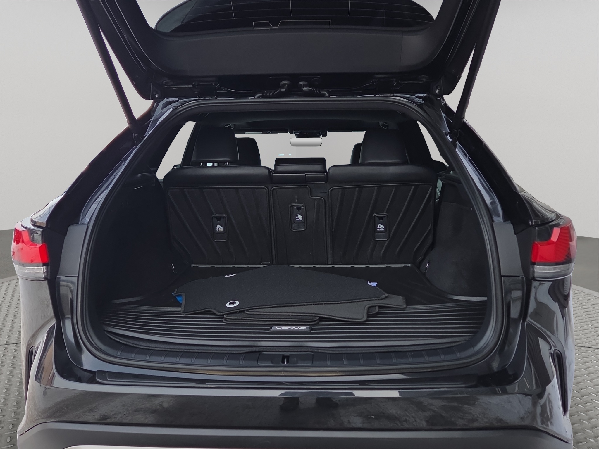 2023 Lexus RX RX 350 Auto — photo 18