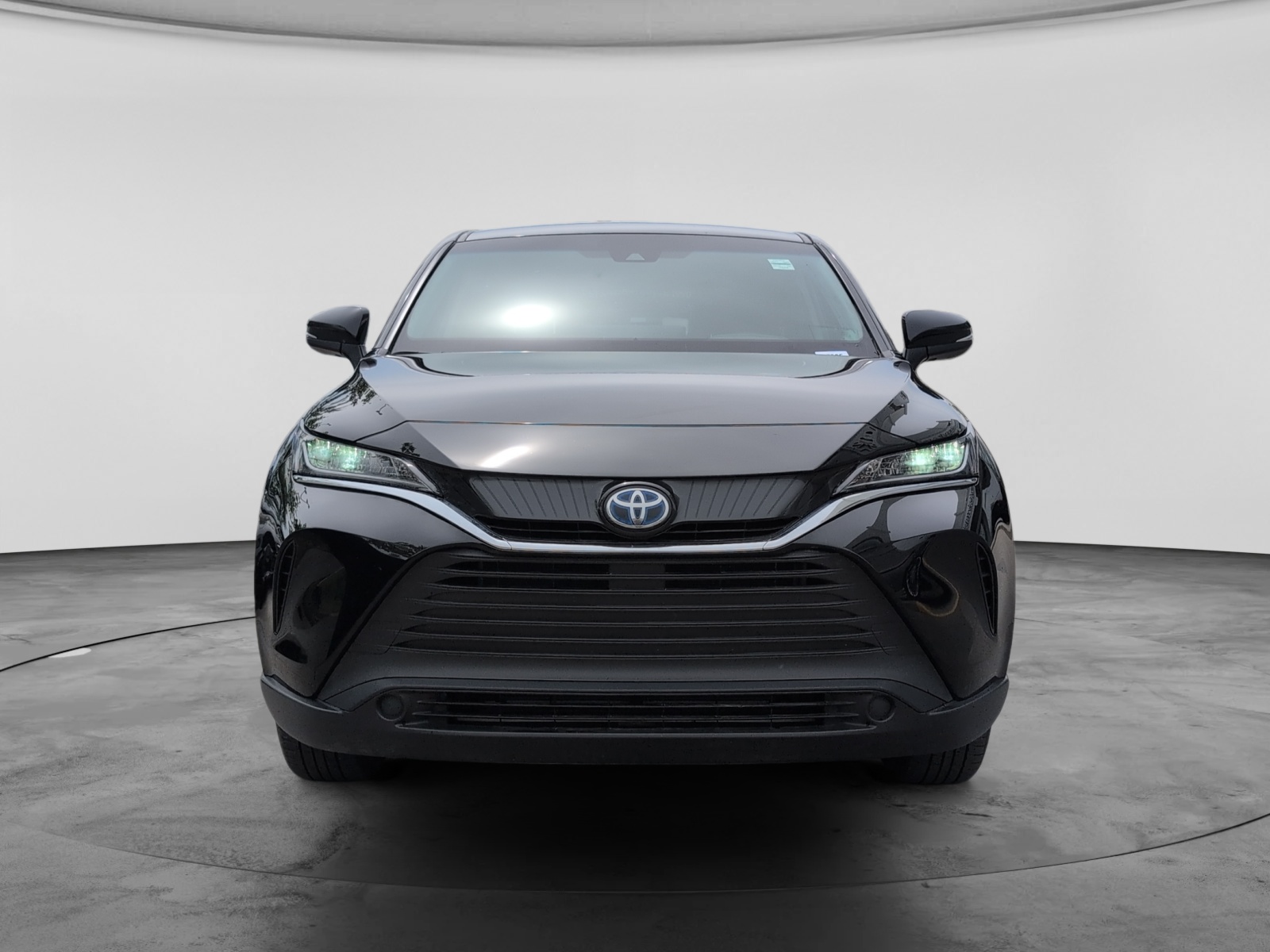 2024 Toyota Venza LE AWD — photo 2