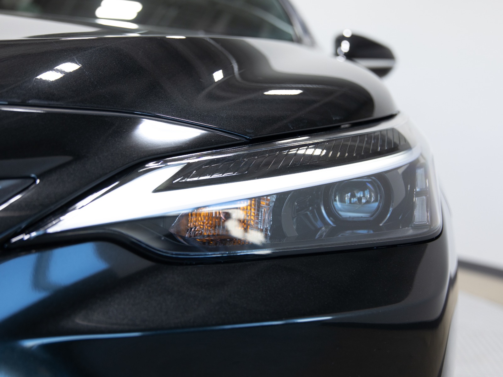 2025 Lexus NX NX 350 AWD — photo 10