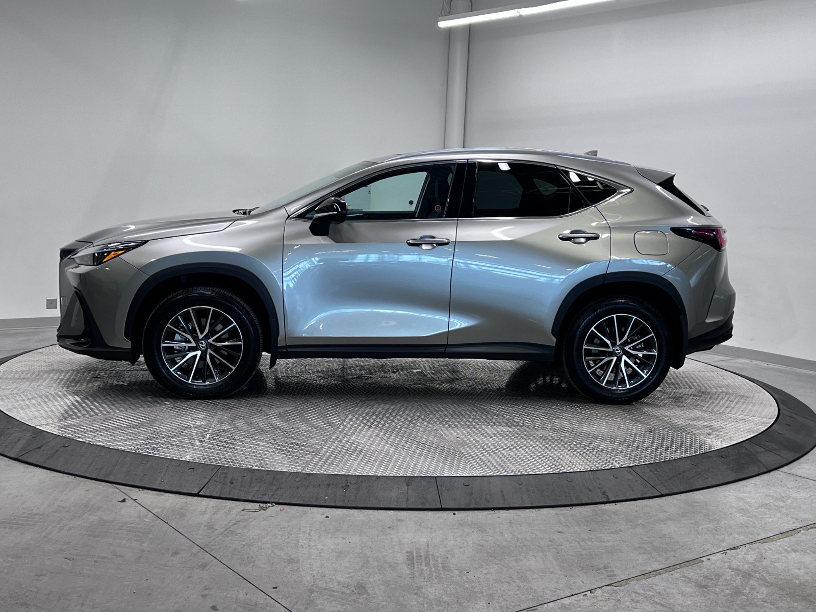 2025 Lexus NX NX 350 AWD — photo 2