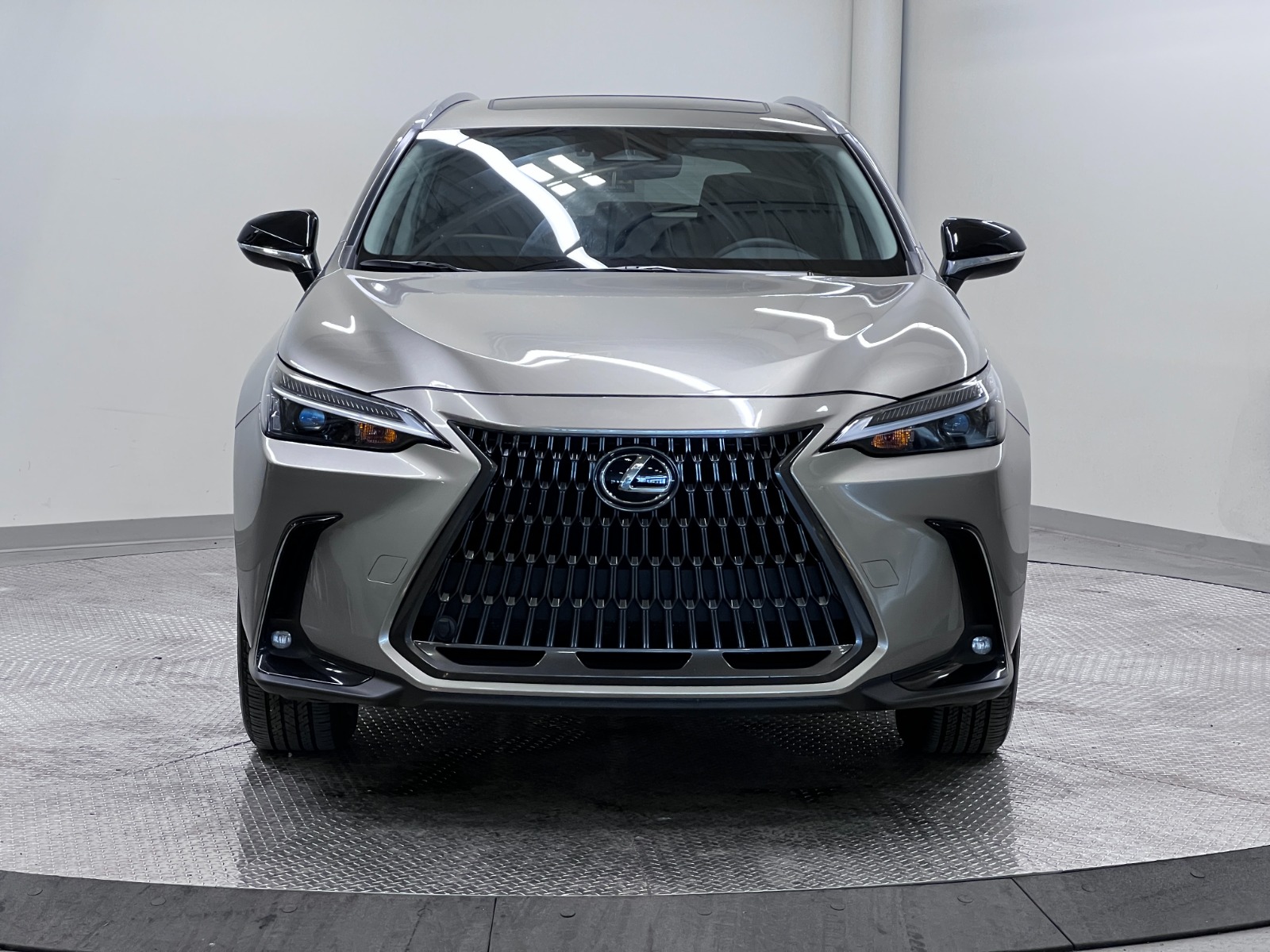 2025 Lexus NX NX 350 AWD — photo 8