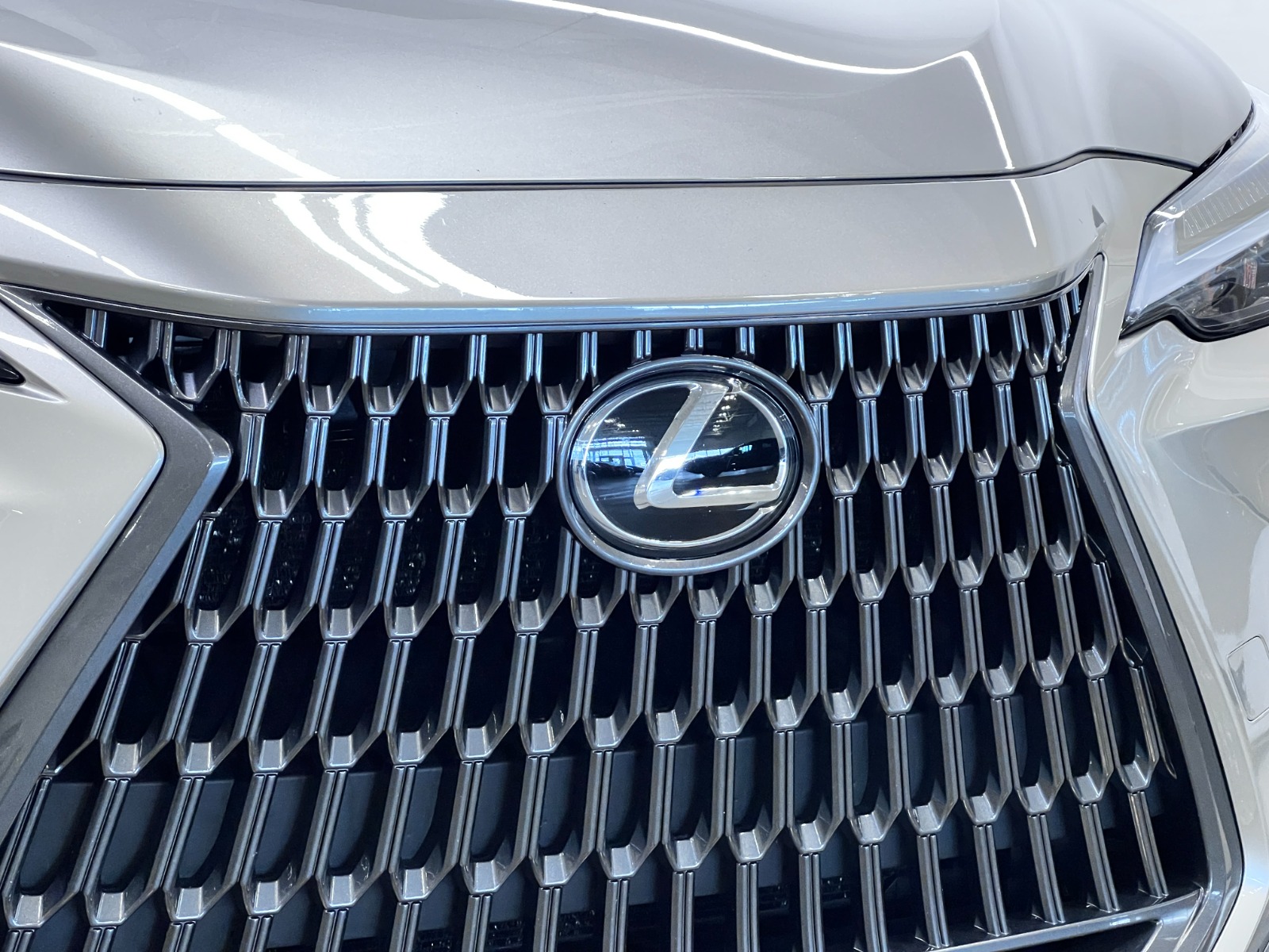 2025 Lexus NX NX 350 AWD — photo 11
