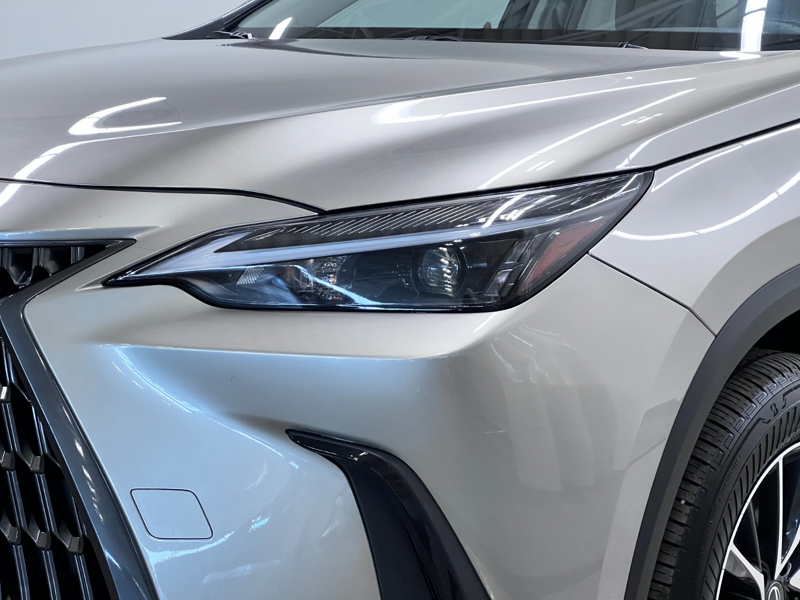 2025 Lexus NX NX 350 AWD — photo 13