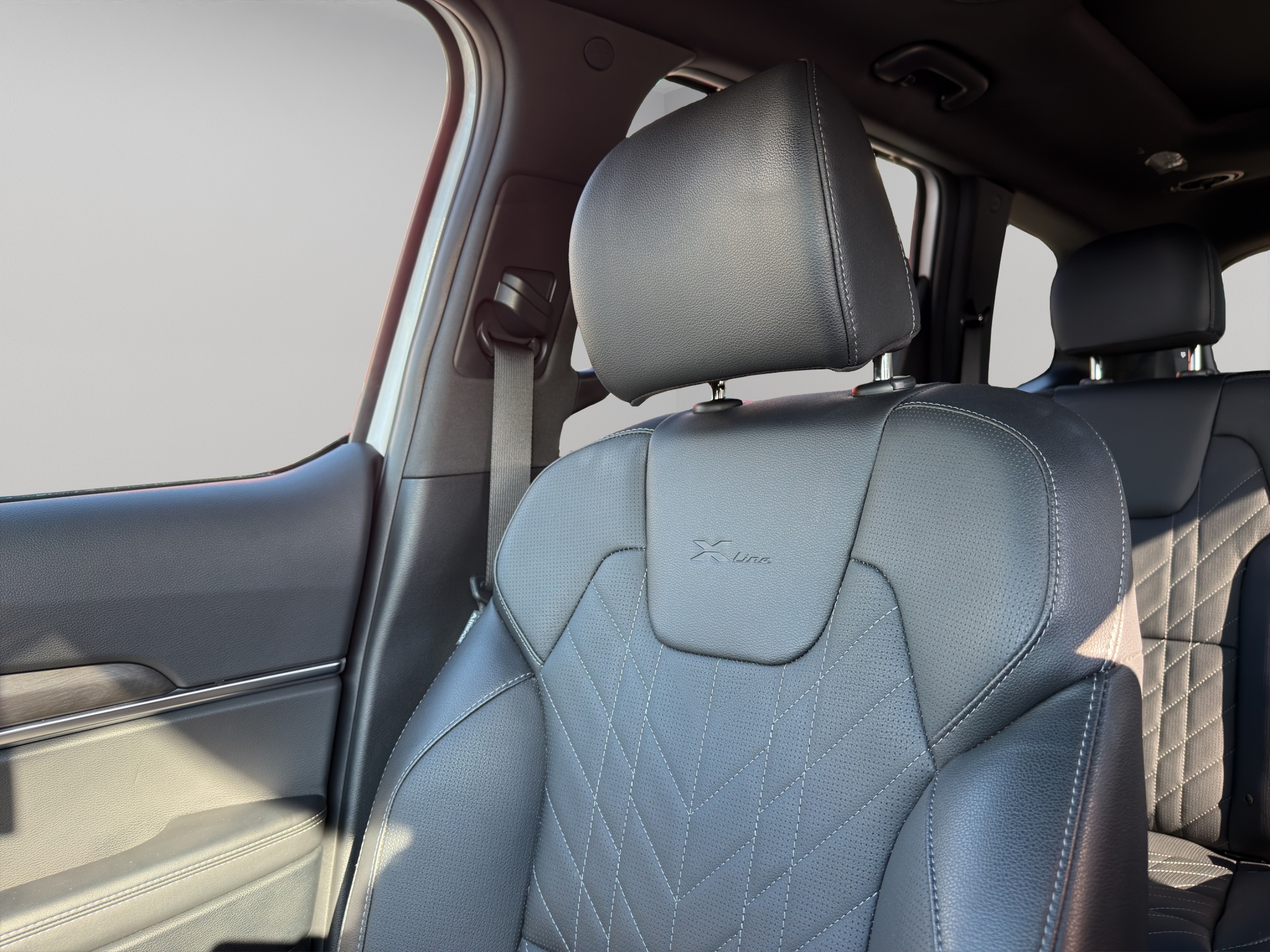 2025 Kia Telluride X-Line AWD w/Black Interior — photo 14