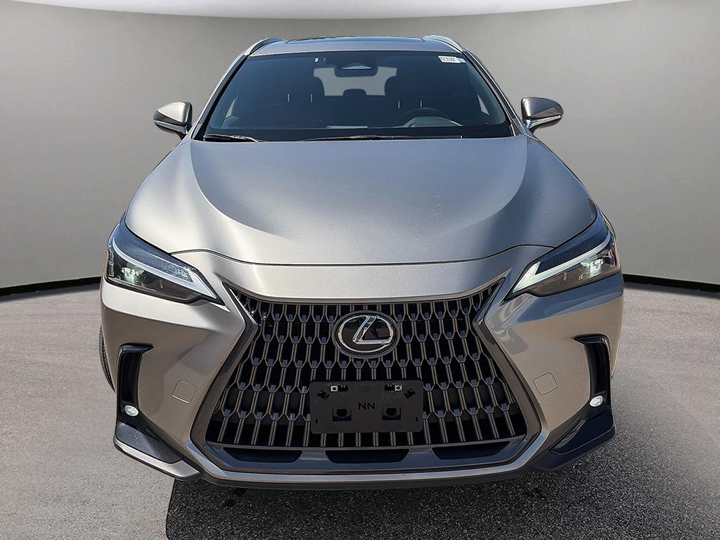2024 Lexus NX NX 350h AWD — photo 2