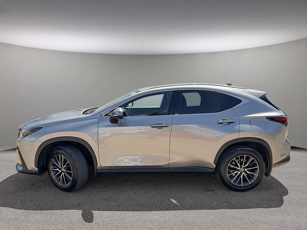 2024 Lexus NX NX 350h AWD — photo 3