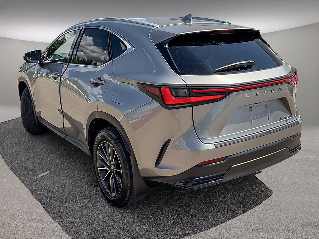 2024 Lexus NX NX 350h AWD — photo 4