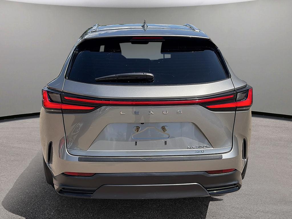 2024 Lexus NX NX 350h AWD — photo 5