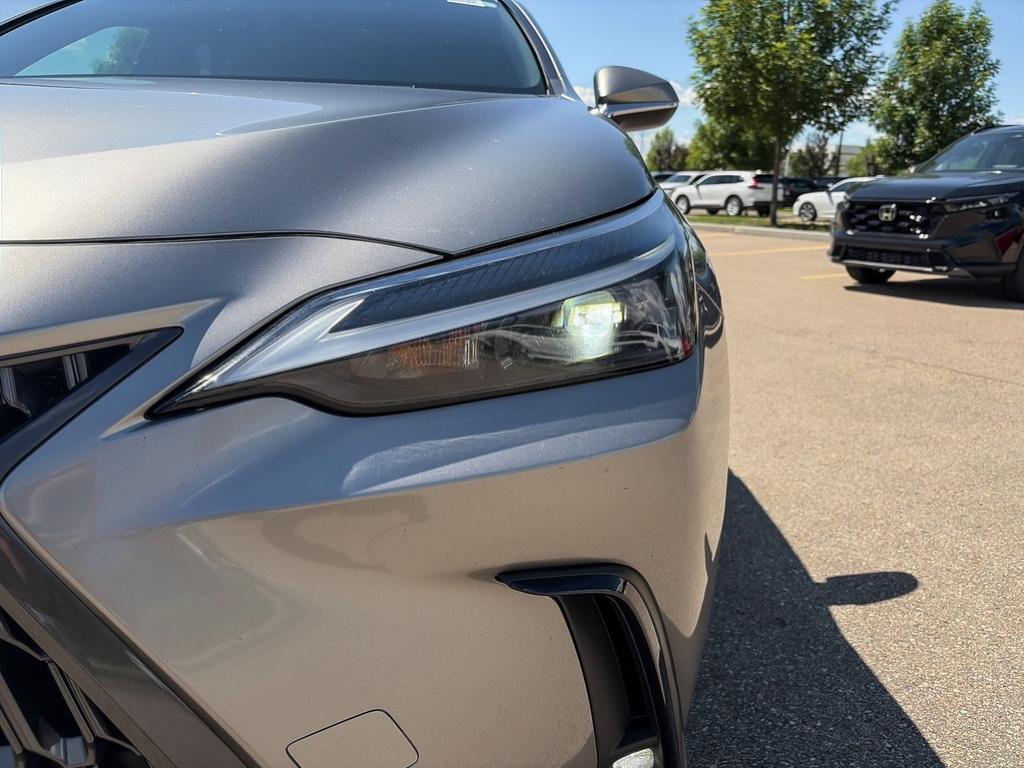 2024 Lexus NX NX 350h AWD — photo 8