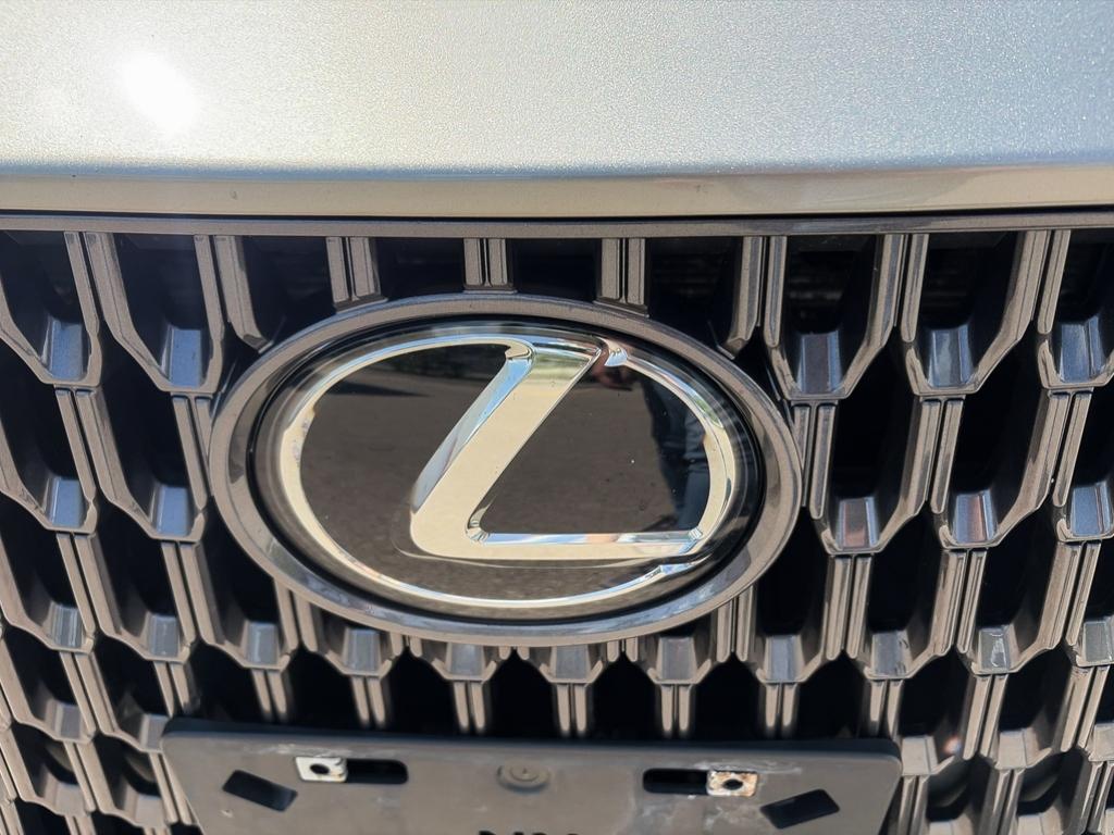 2024 Lexus NX NX 350h AWD — photo 9