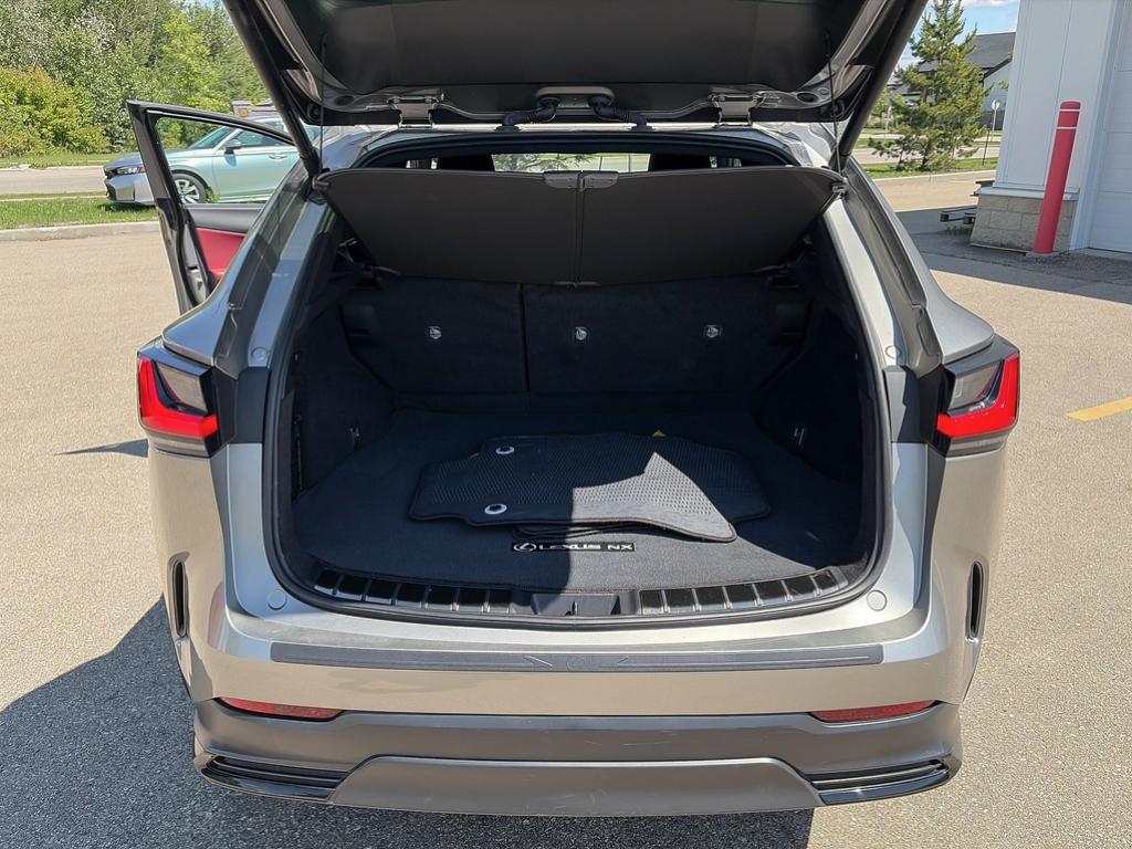 2024 Lexus NX NX 350h AWD — photo 12