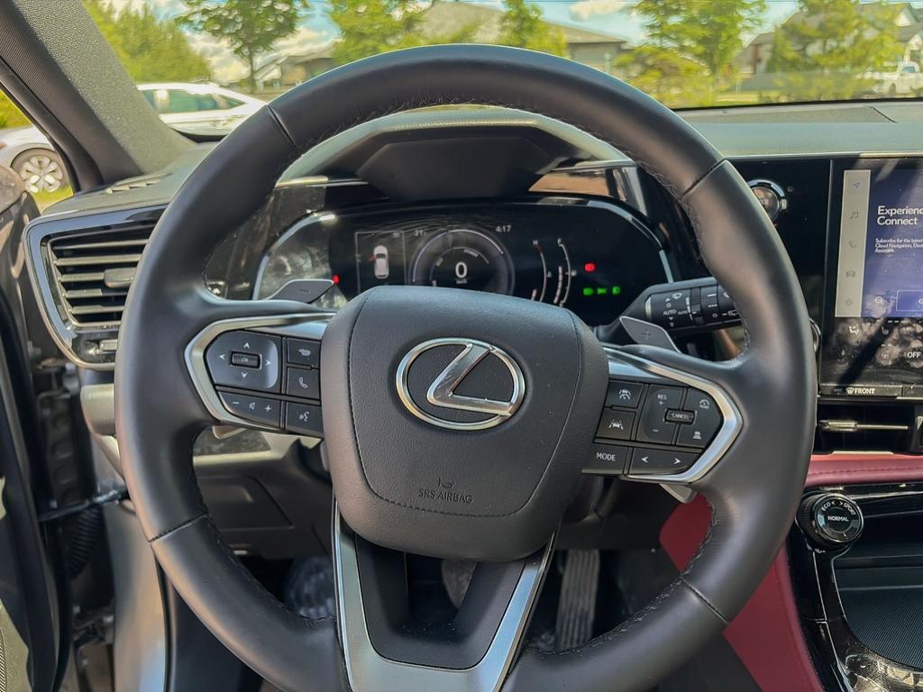 2024 Lexus NX NX 350h AWD — photo 14