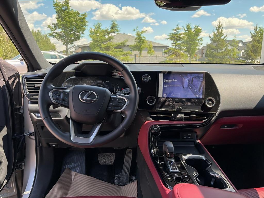 2024 Lexus NX NX 350h AWD — photo 24