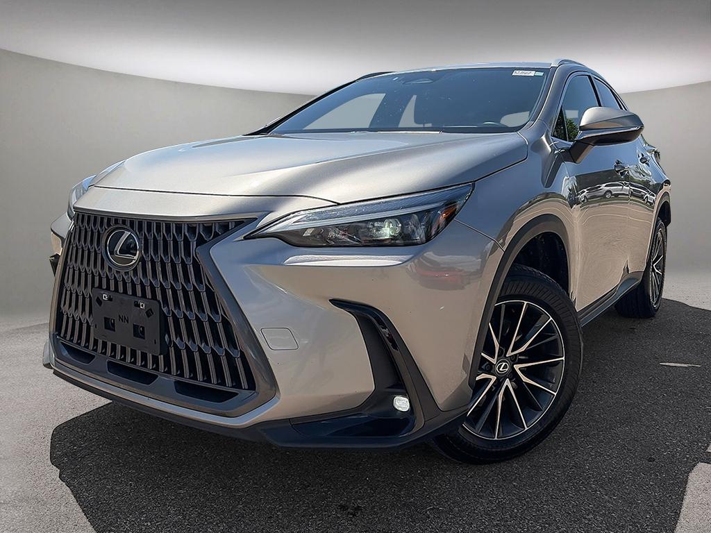 2024 Lexus NX NX 350h AWD — photo 1