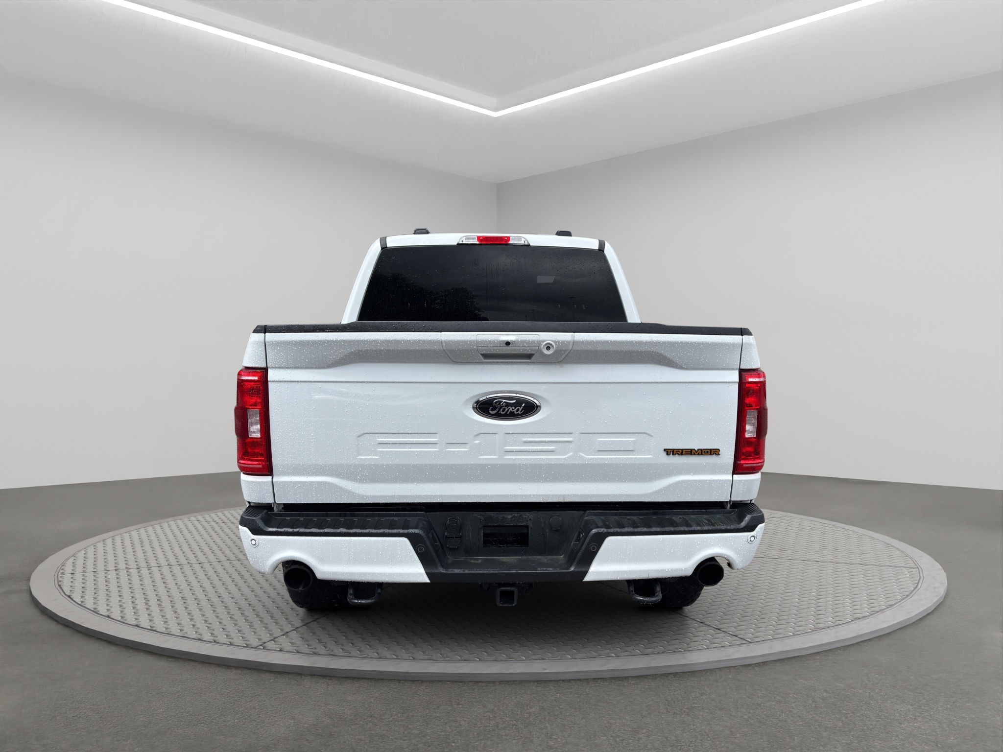 2022 Ford F-150 Tremor 4WD SuperCrew 5.5' Box — photo 5