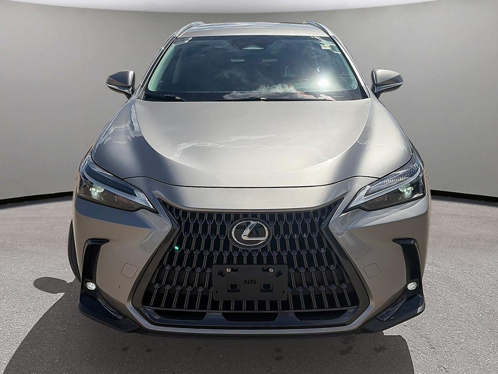 2023 Lexus NX NX 250 AWD — photo 2