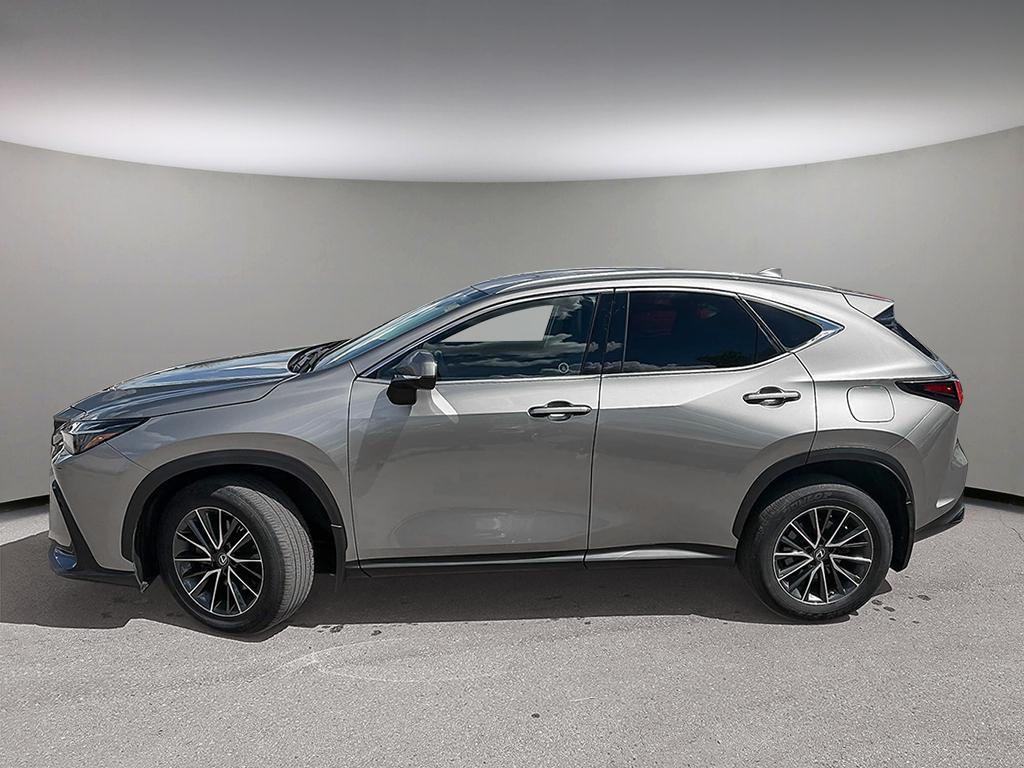 2023 Lexus NX NX 250 AWD — photo 3