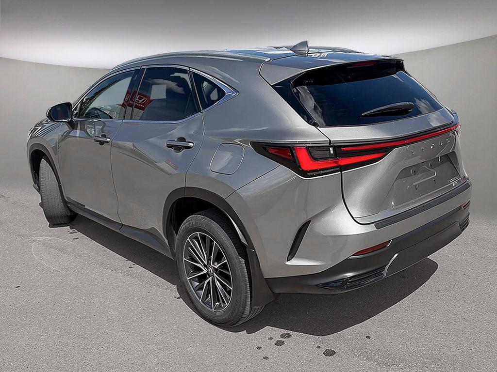 2023 Lexus NX NX 250 AWD — photo 4