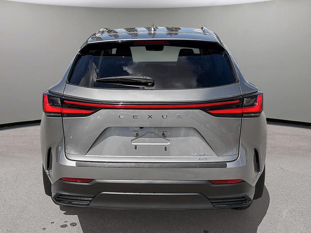 2023 Lexus NX NX 250 AWD — photo 5