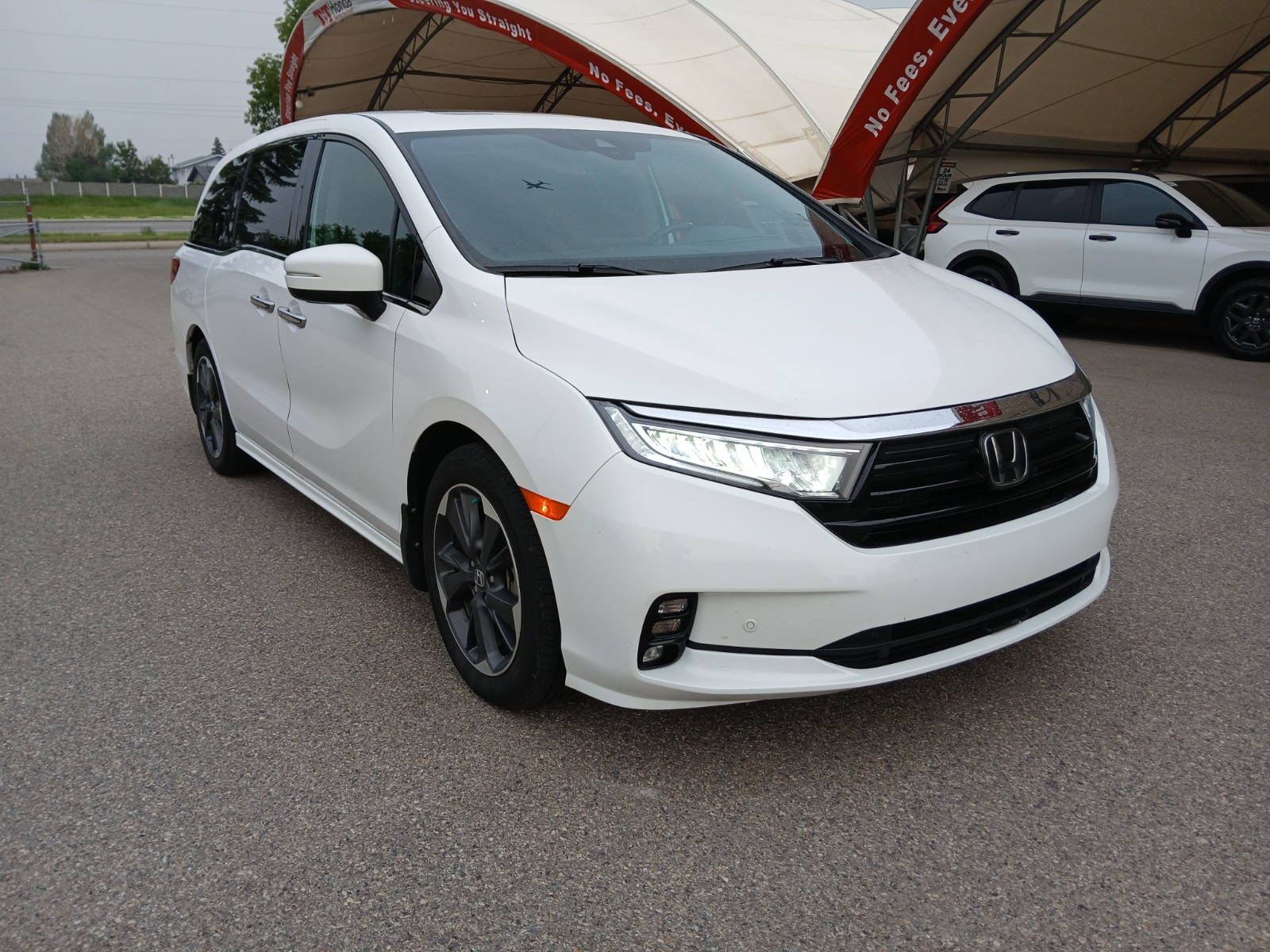 2024 Honda Odyssey Touring Auto — photo 8